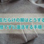 毛玉だらけの服 捨てる 復活