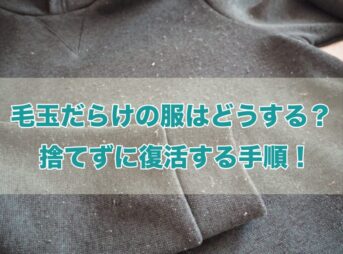 毛玉だらけの服 捨てる 復活