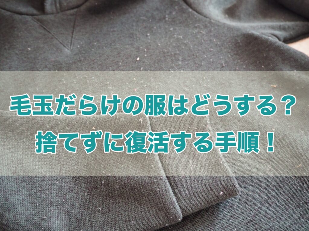 毛玉だらけの服 捨てる 復活